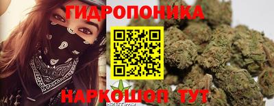 дурь Камышлов