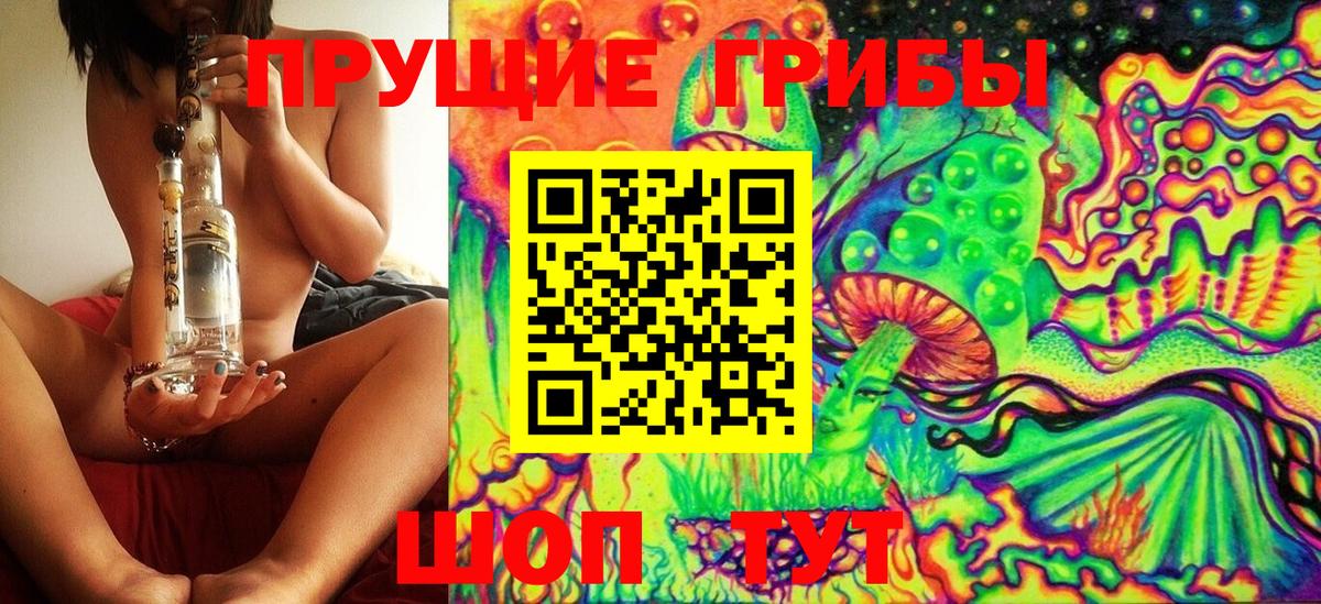 Галлюциногенные грибы MAGIC MUSHROOMS Великий Новгород